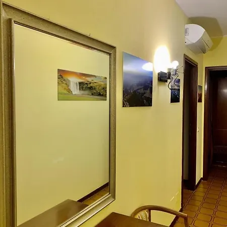 Lice Collecchio